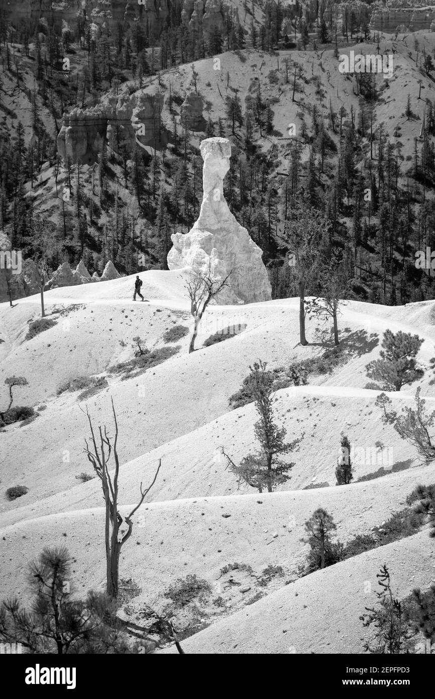 BRYCE CANYON, UT - May 26, 2012. Bryce Canyon monochrome landscape, man hiking on a trail in Bryce Canyon National Park, USA Stock Photo