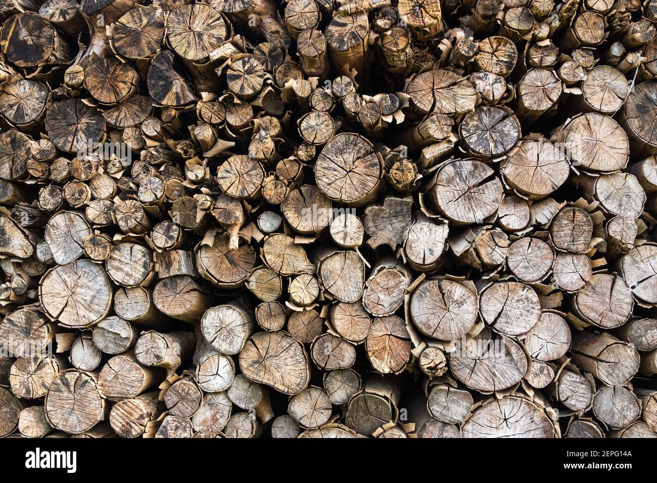 Dried wood log stack background Stock Photo