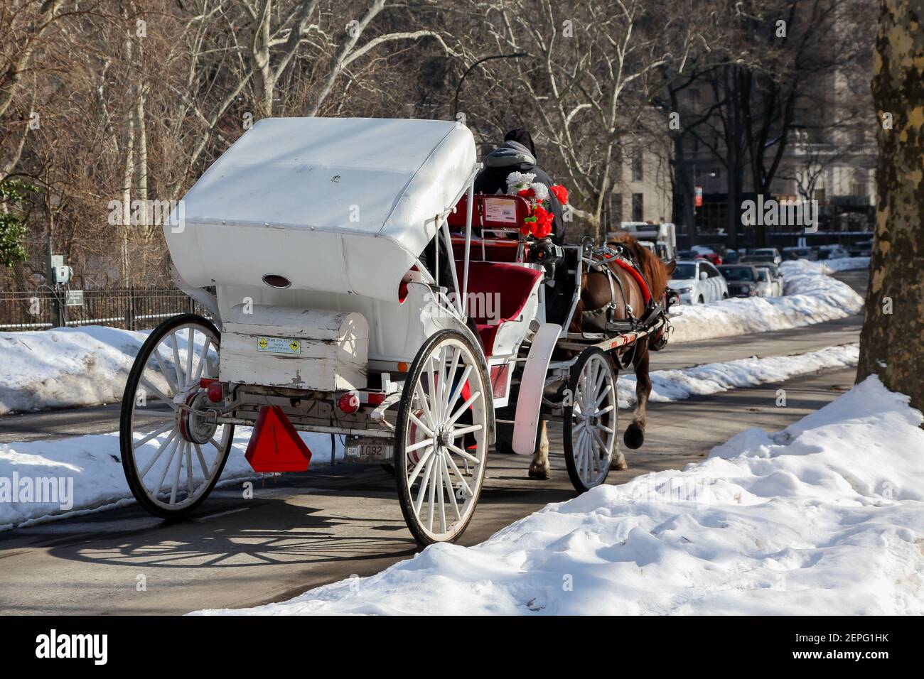NEW YORK - FEBRUARY 18, 2015: Winter day scenery with horse carriage in ...