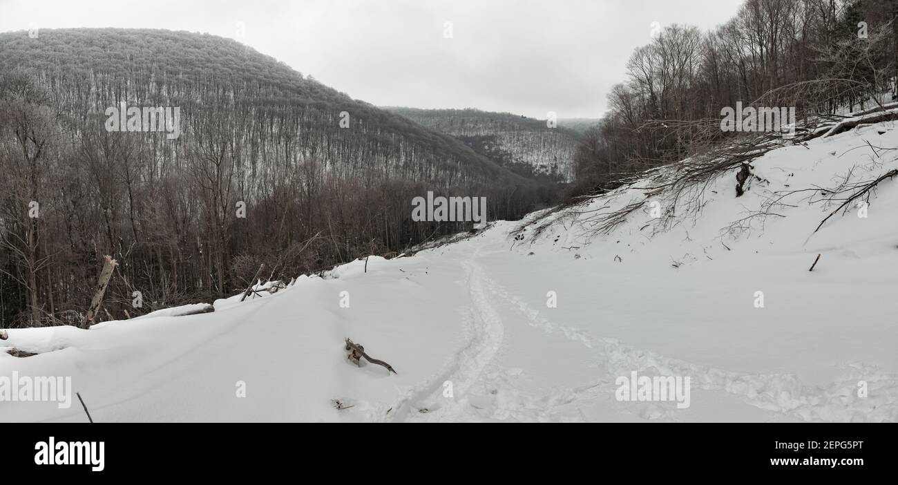 Walk In Deep Snow Walk in deep snow hi-res stock photography and images - Alamy