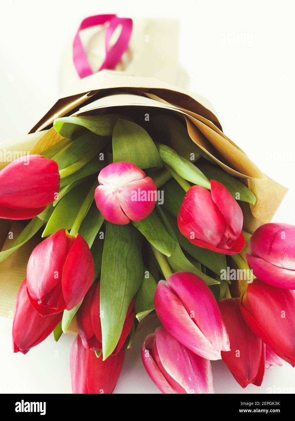 Close up bouquet of fresh Tulips isolated on white background. Stock Photo