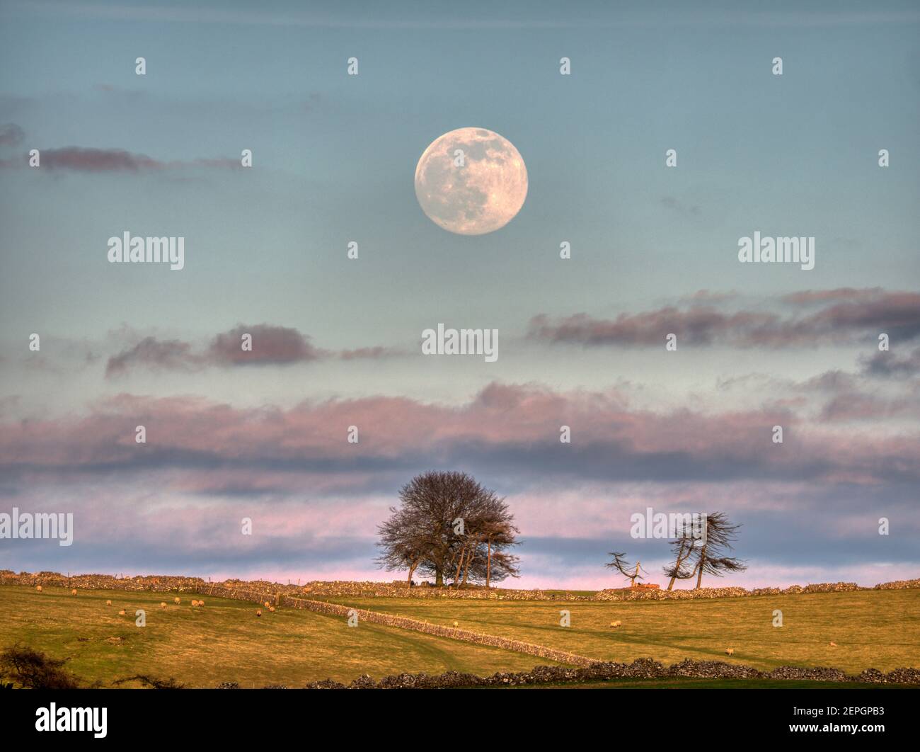Full snow moon rising over the Derbyshire Dales in the Peak District National Park, Derbyshire, England, UK Stock Photo
