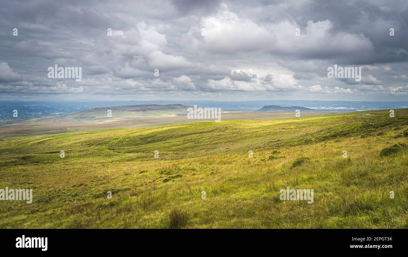 Green meadow or bog with long grass, illuminated by sunlight, Cuilcagh Mountain Park, stormy, dramatic sky in background, Northern Ireland Stock Photo
