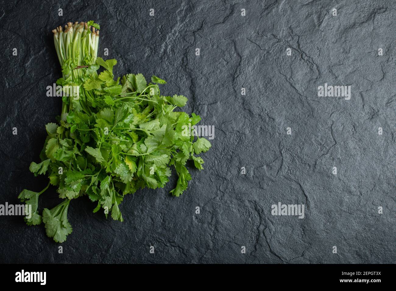 Top view of Branch of fresh coriander Stock Photo Alamy