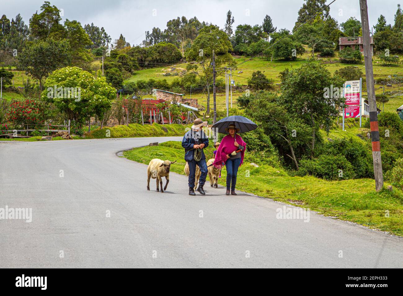 Colombian family,farmers ,sheep.  traditional poncho, Ruana, umbrella.500 year old town.Colonial village. Tunja, Boyaca, Colombia,Andes, South America Stock Photo
