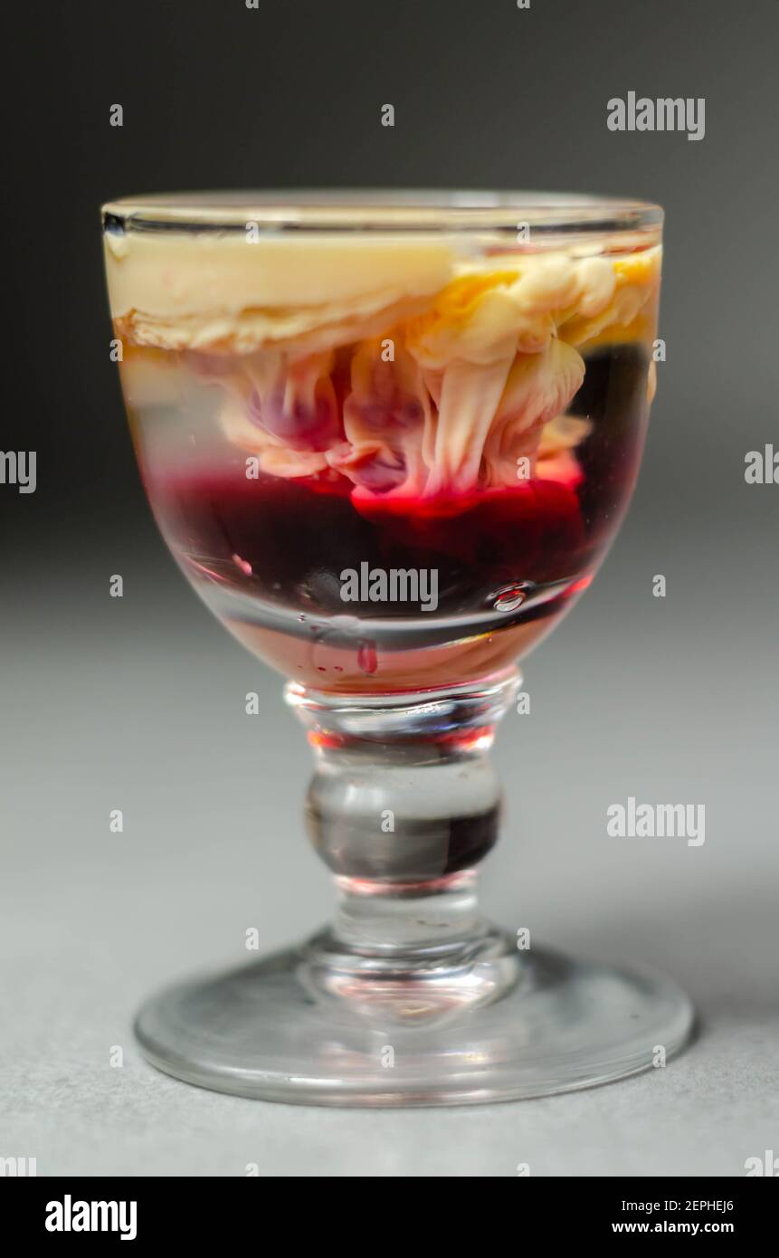 Interesting drink shot based on cream, liqueur and grenadine called Brain Hemorrhage prepared for Halloween party, scary drink Stock Photo