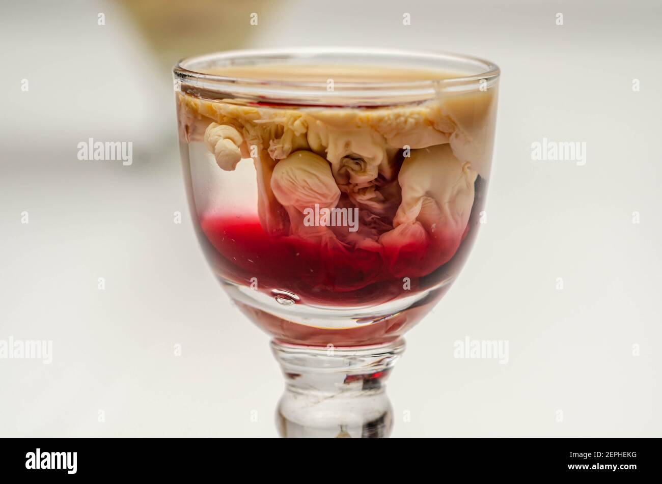 Interesting drink shot based on cream, liqueur and grenadine called Brain Hemorrhage prepared for Halloween party, scary drink Stock Photo