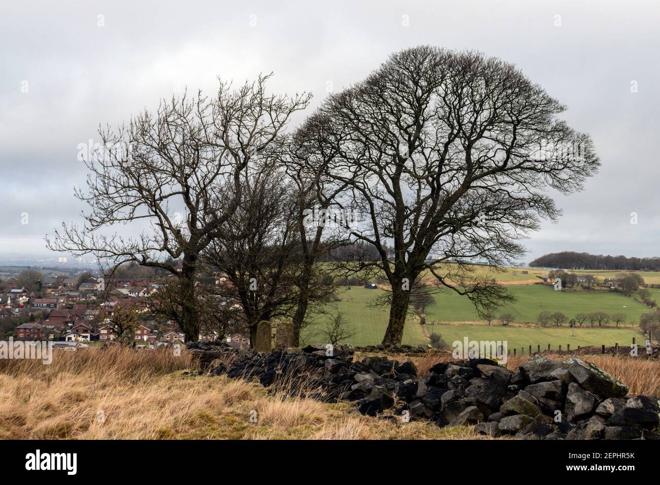 Lancashire rural village trees hi-res stock photography and images - Alamy