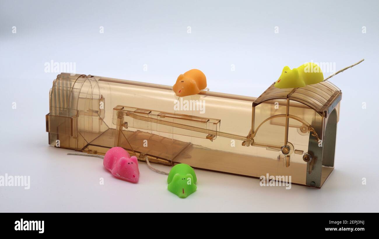 Humane animal trap hires stock photography and images Alamy