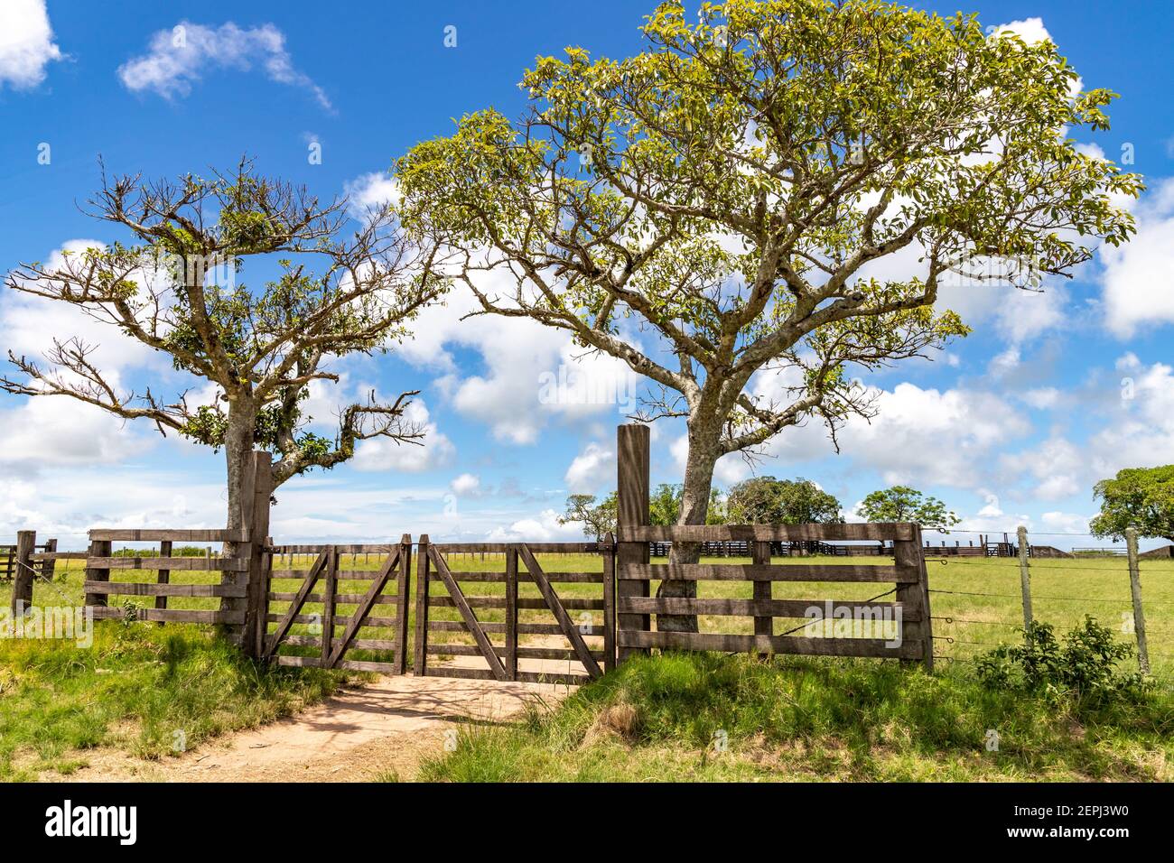 Farm wood gate with trees and iron fence, Tapes, Rio Grande do Sul