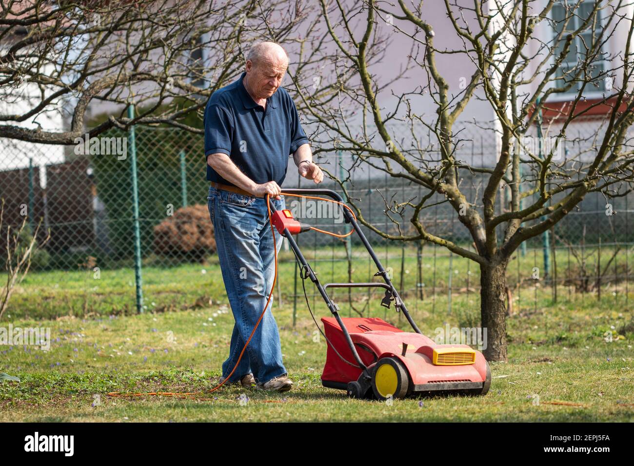 Senior man verticutting lawn at spring. Old gardener cultivated grass with verticutter Stock Photo