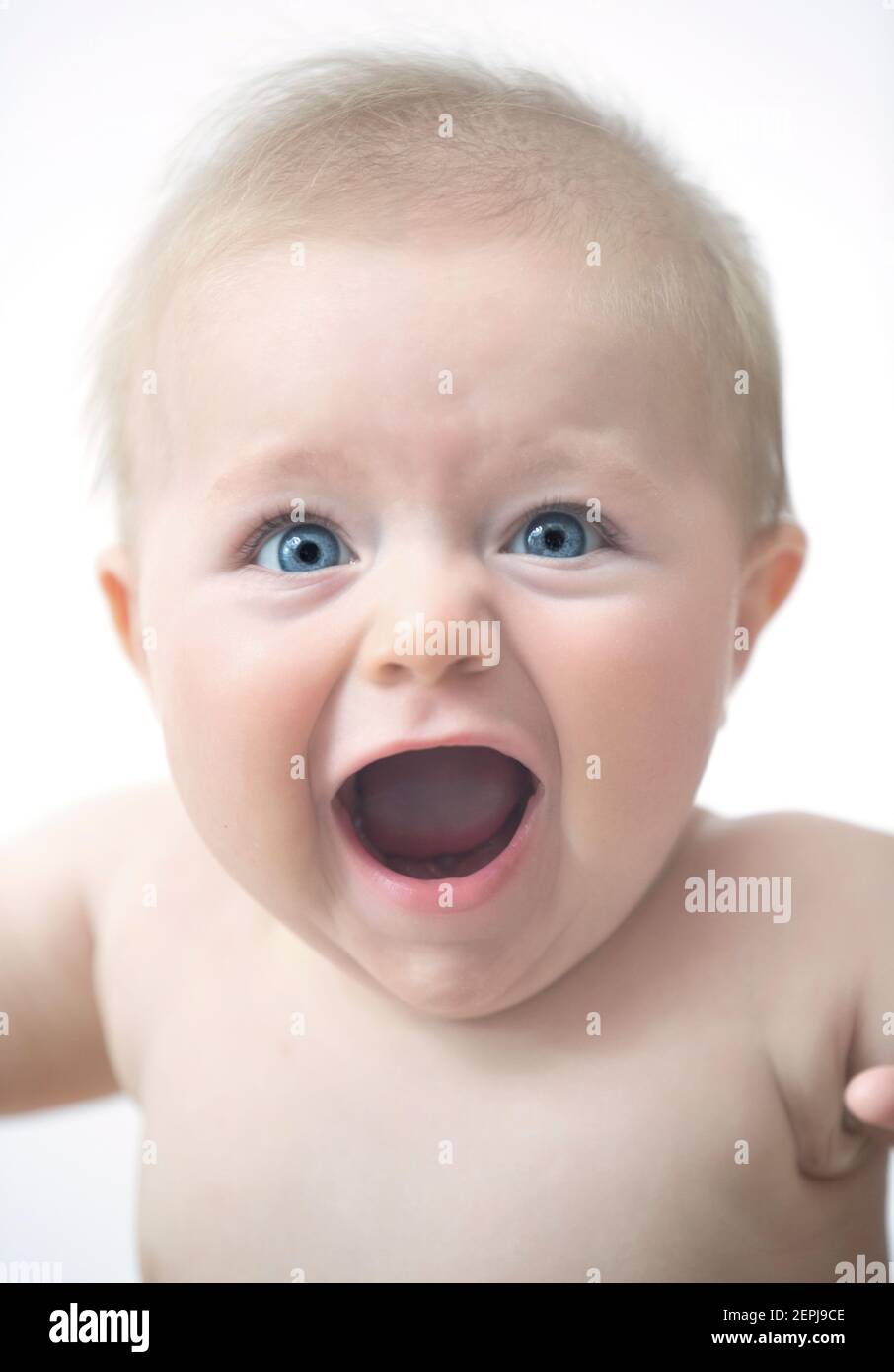 An adorable 7 month old baby boy with blue eyes and blond hair looking happy and excited. Stock Photo