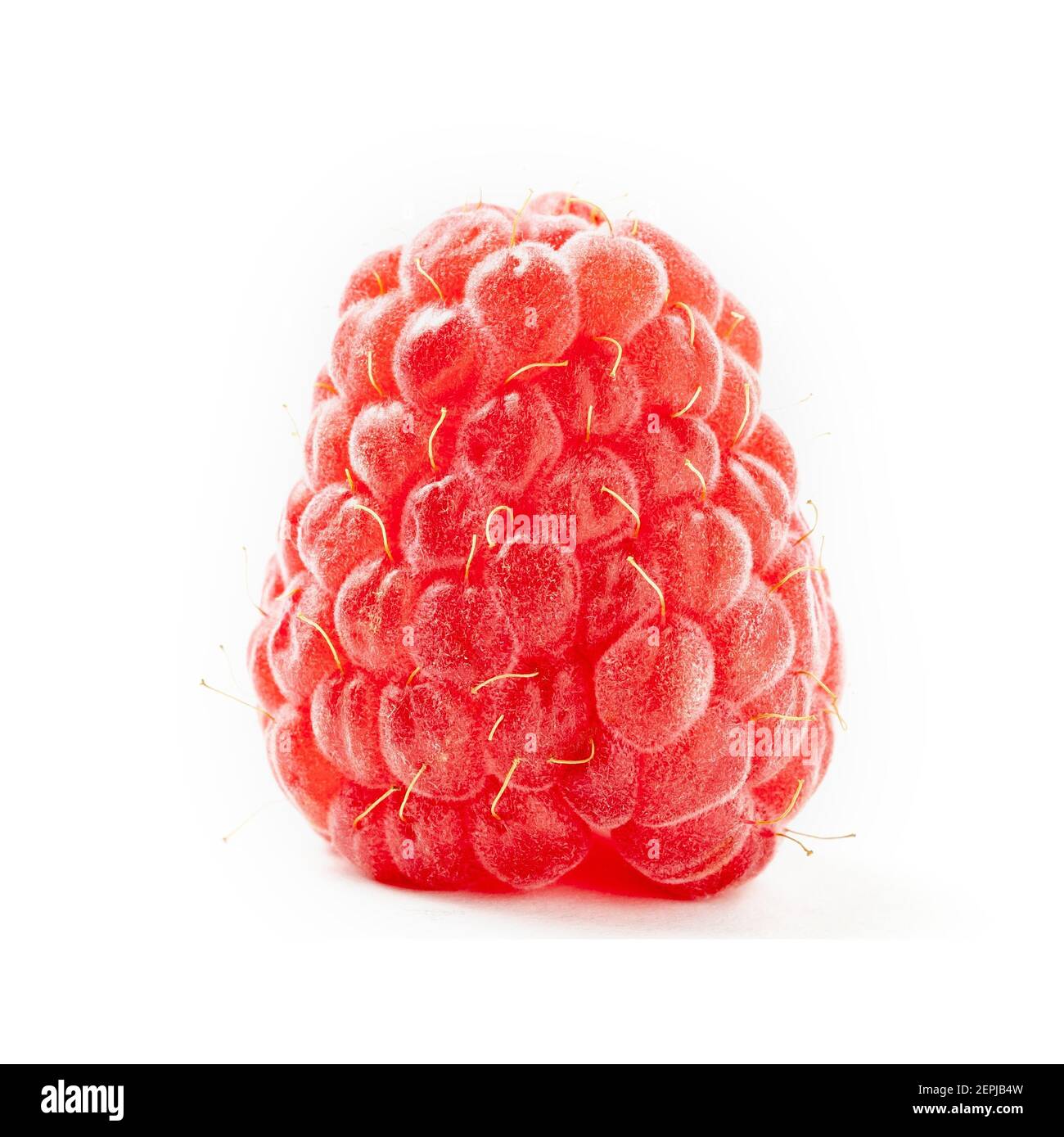 raspberry isolated on white. sweet fresh fruit. clipping path Stock Photo