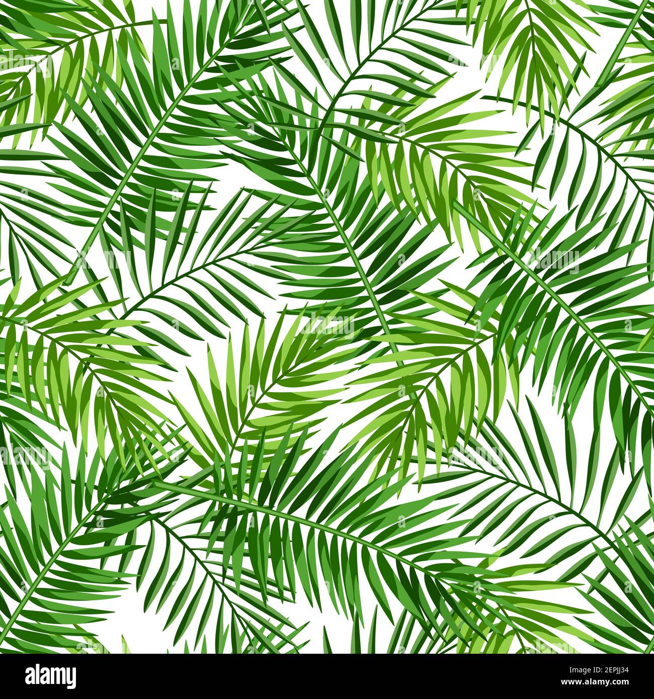 Vector tropical seamless pattern with green palm leaves on a white ...
