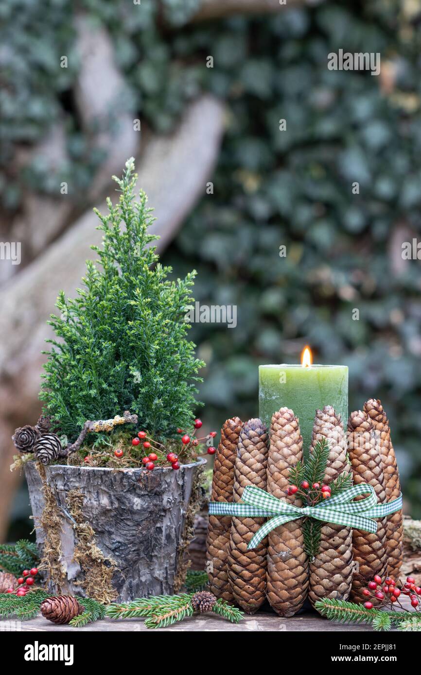 christmas decoration with picea glauca, green candle and fir cones Stock Photo