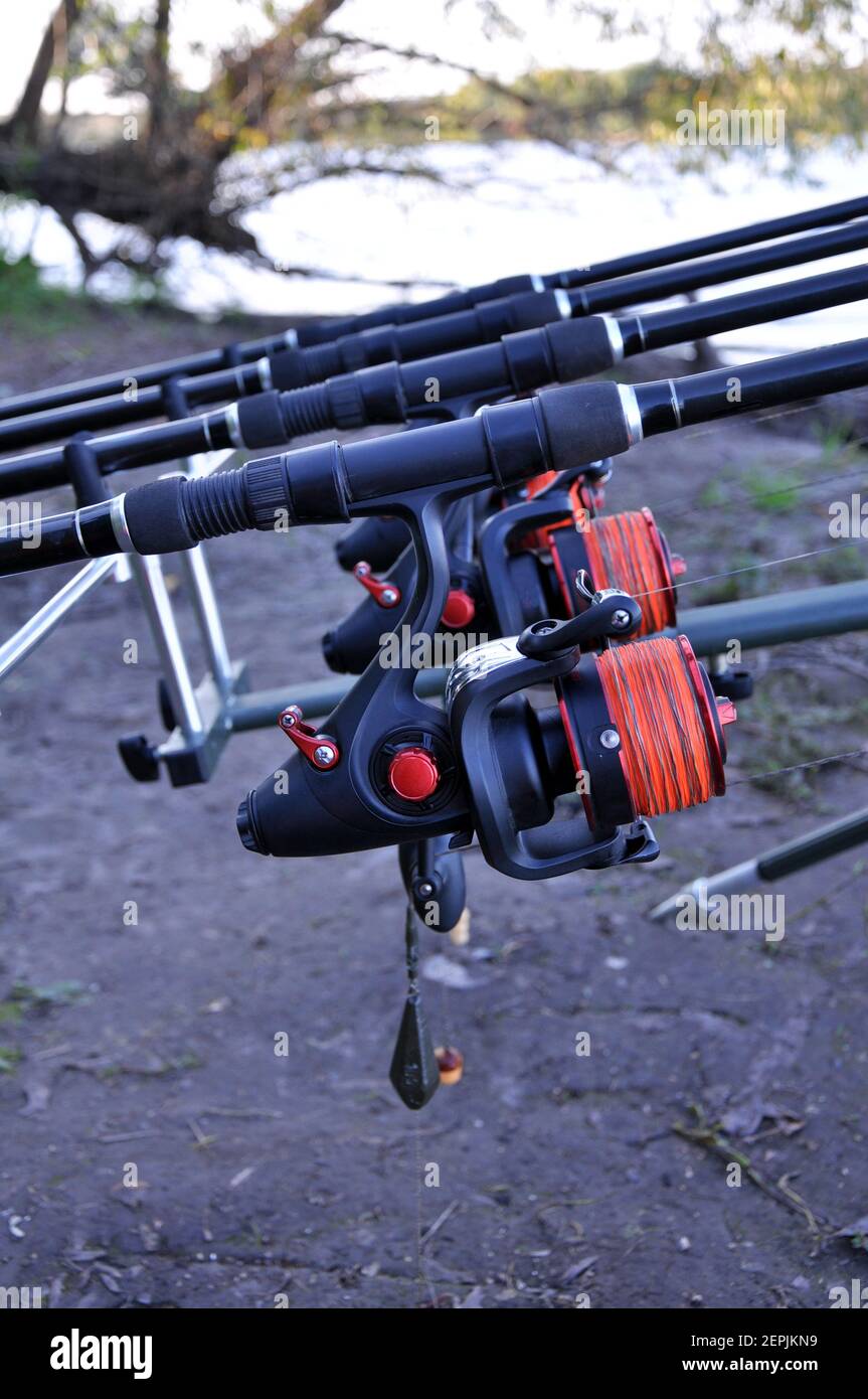 https://c8.alamy.com/comp/2EPJKN9/fishing-rods-on-a-rodpod-with-reels-with-line-for-carp-2EPJKN9.jpg