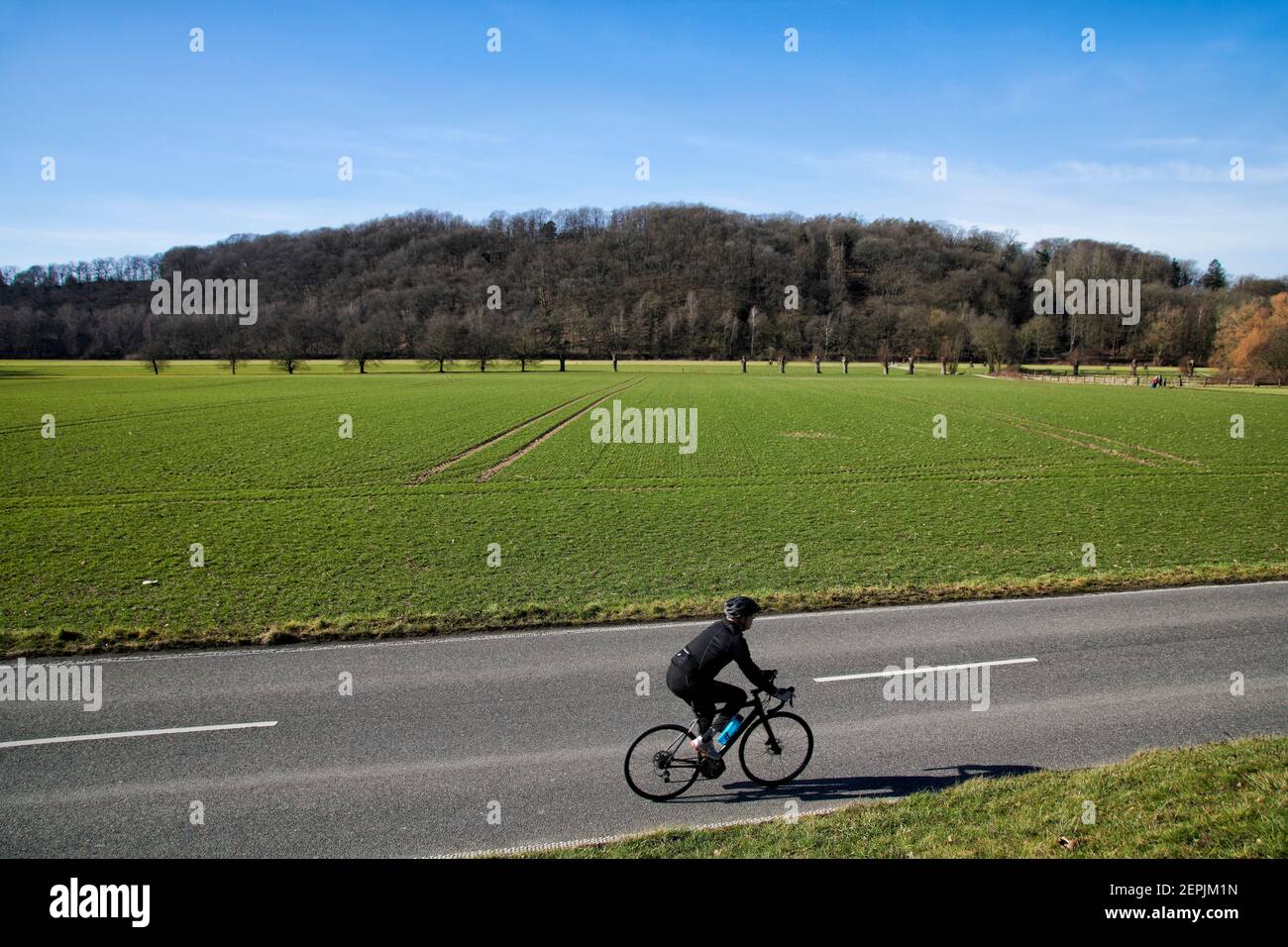 Fahrradfahrer auf einer zweispurigen Landstrasse vor einem Feld. Im Hintergrund befindet sich ein bewaldeter Huegel. Es ist Winter. Stock Photo
