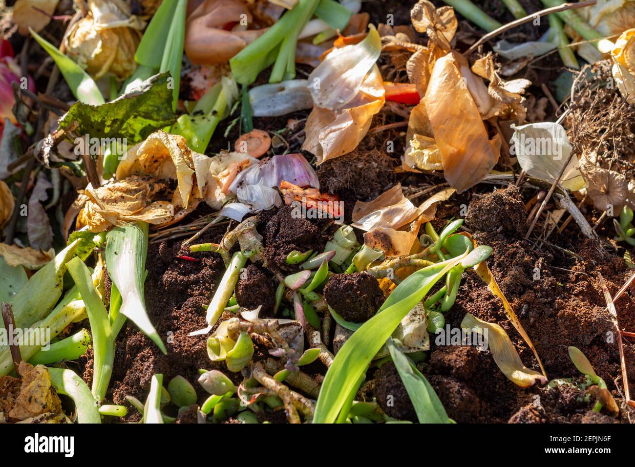 Food waste onions hi-res stock photography and images - Alamy