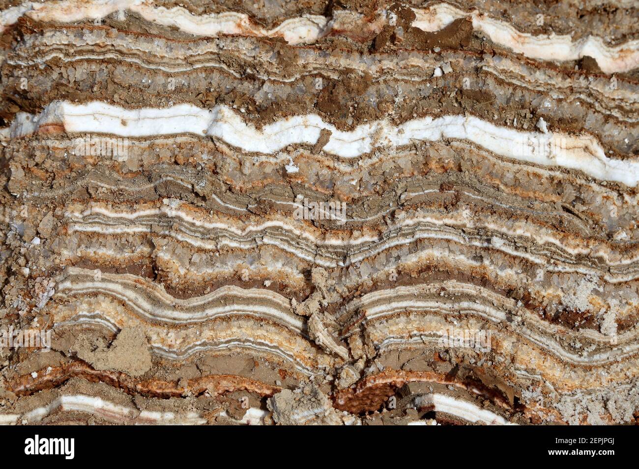 dead sea salt at Jordan Stock Photo Alamy