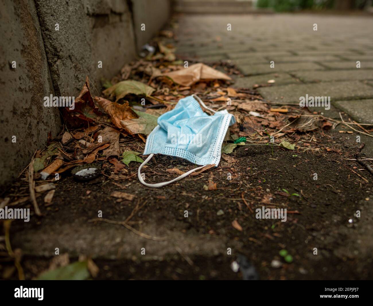 Used face mask next to a sidewalk in an urban area as environmental pollution in a public park plastic waste junk Stock Photo