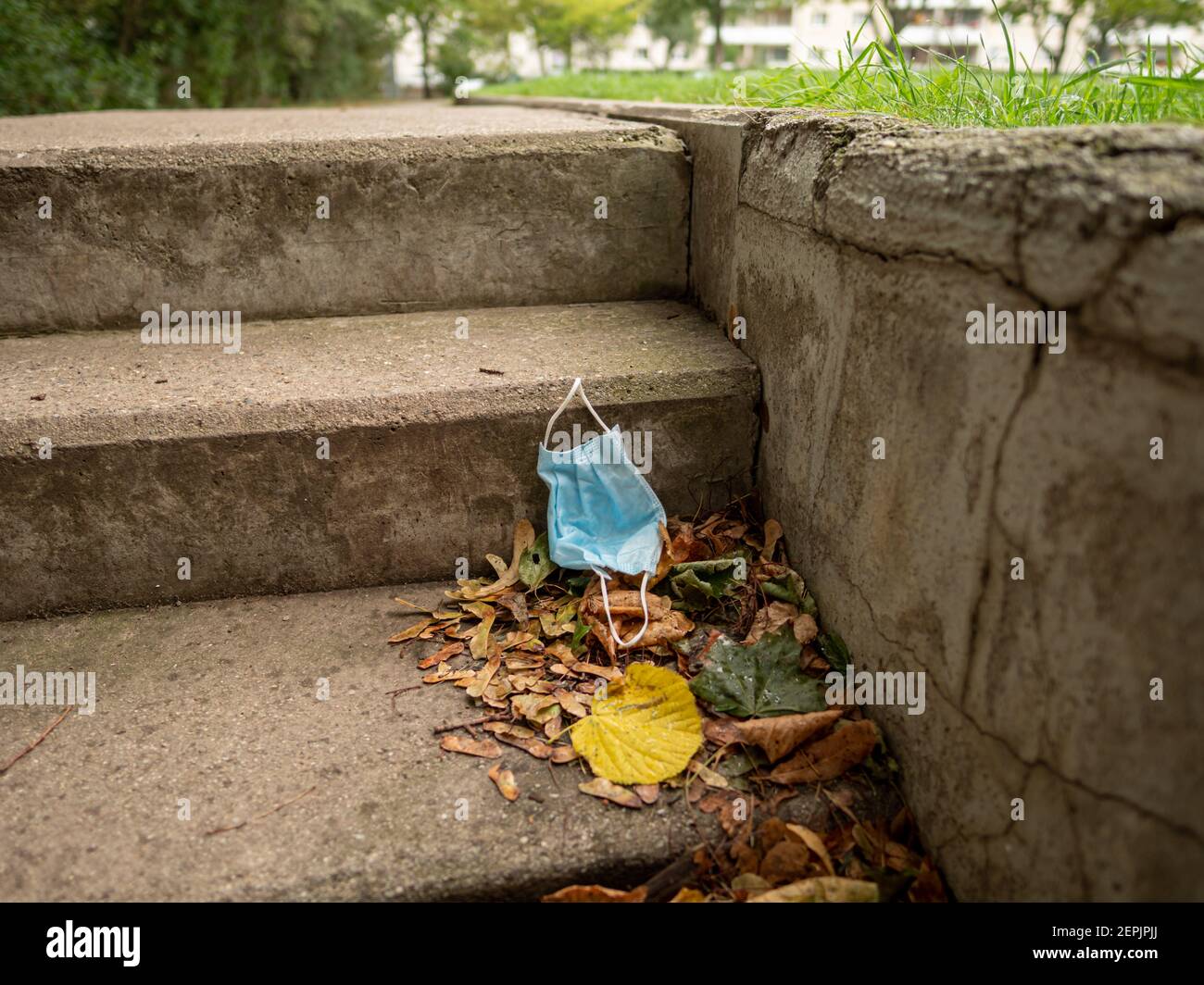 Used face mask next to a sidewalk in an urban area as environmental pollution in a public park plastic waste junk Stock Photo