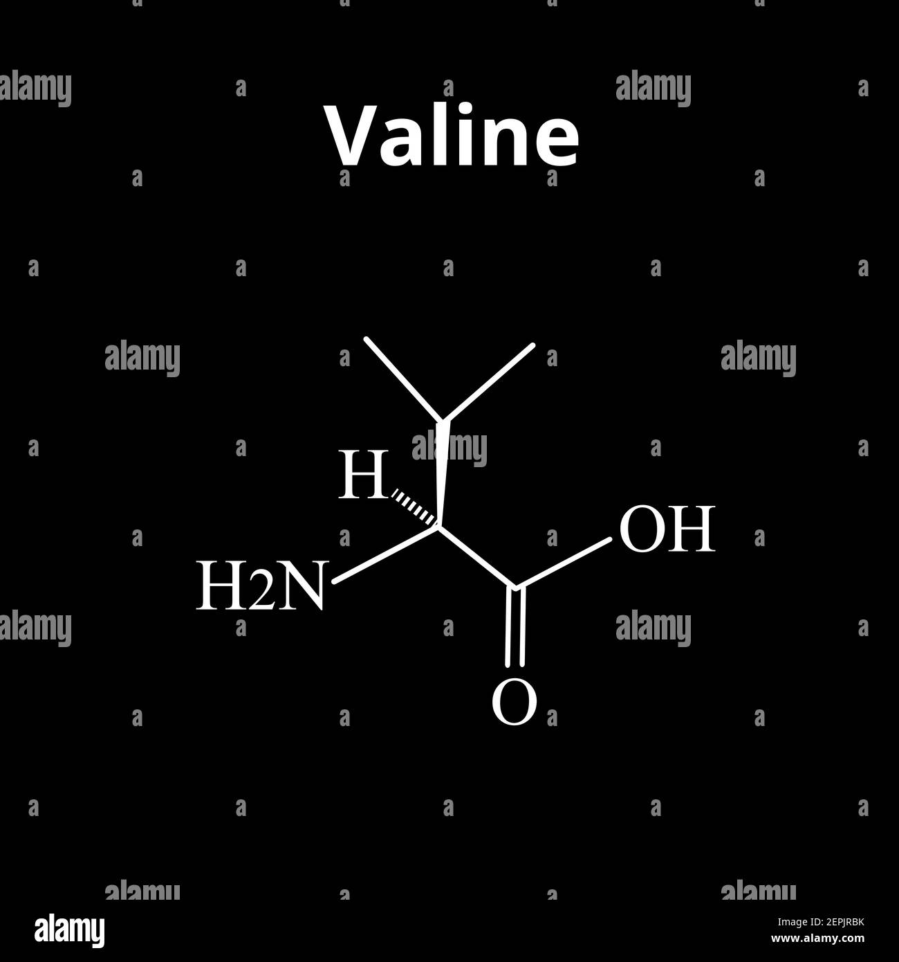 Valine amino acid. Chemical molecular formula of valine amino acid. Vector illustration on