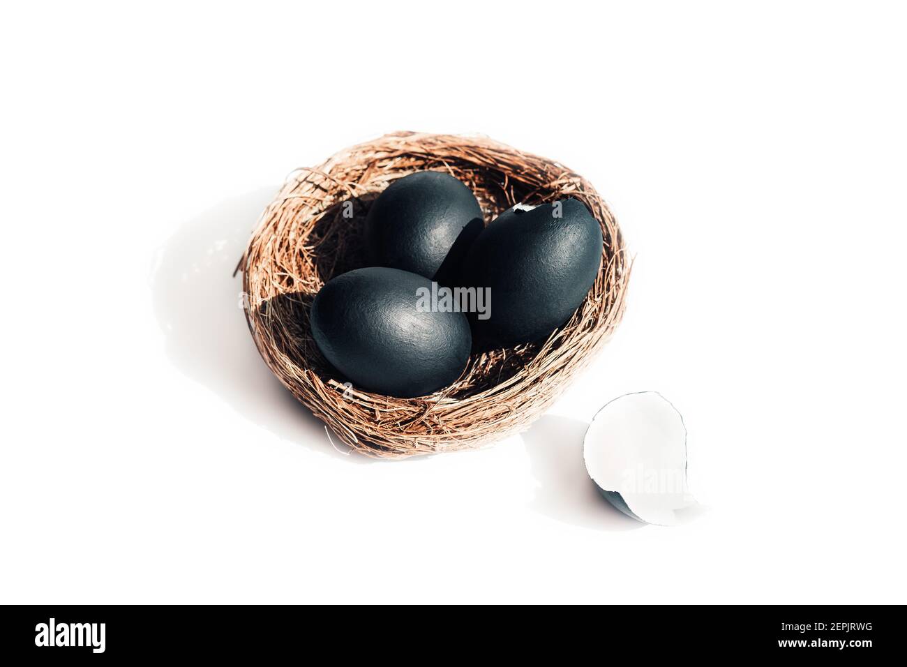 Birds nest with black eggs on white background, isolated. One egg ...