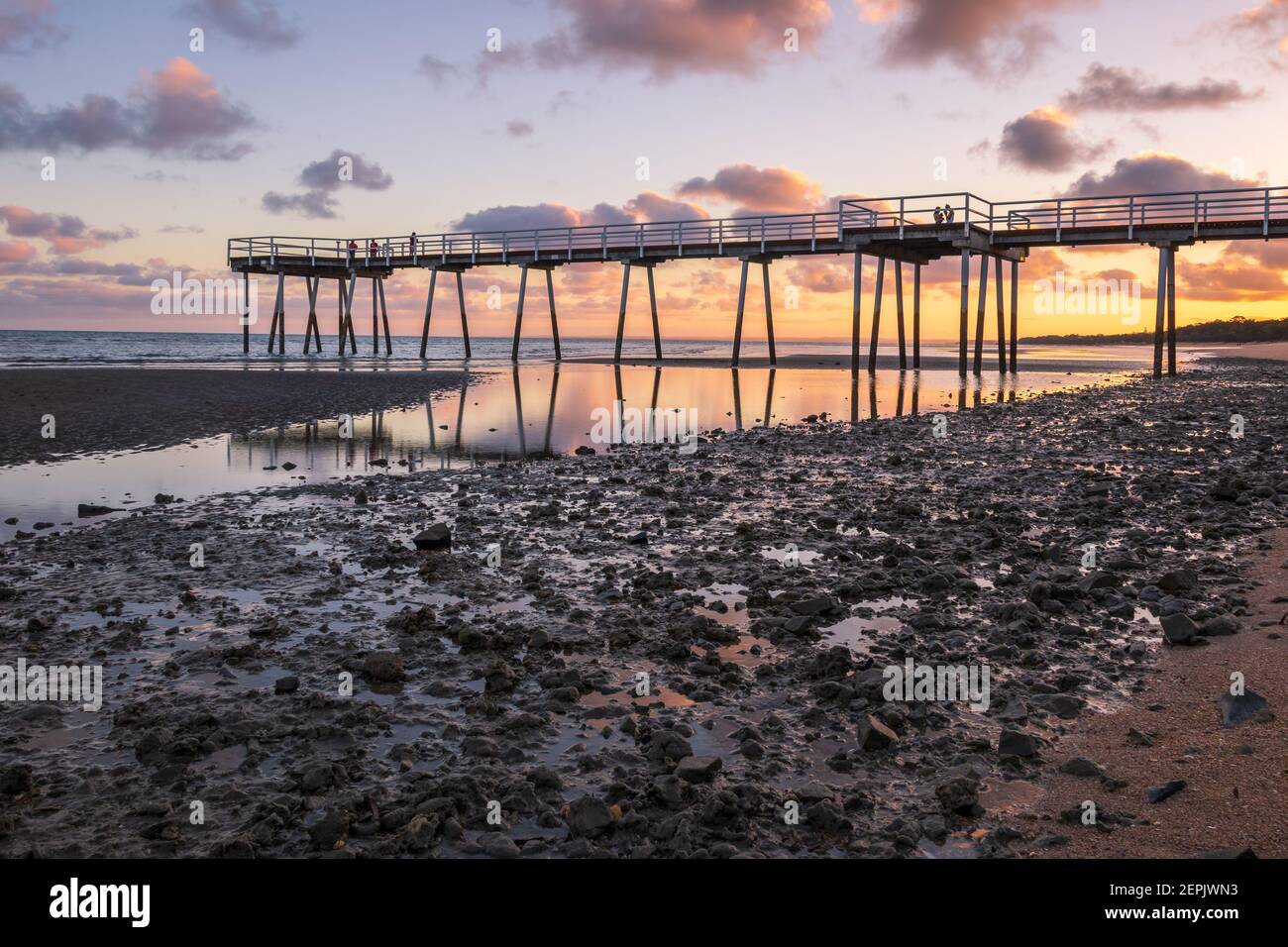 Aloha Ola Small - low tide