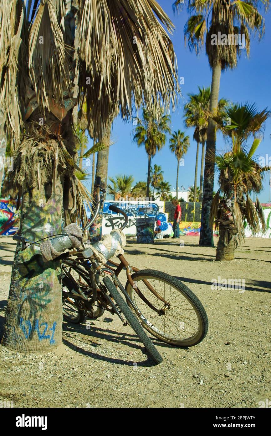 bicycles parked on graffiti covered palm trees in Venice Beach