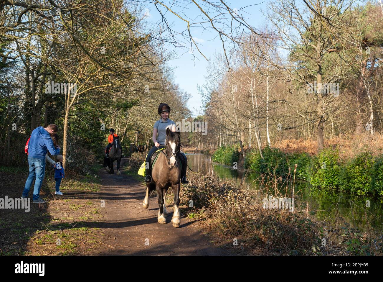 Horse riding along the Basingstoke Canal towpath in Surrey, UK Stock Photo