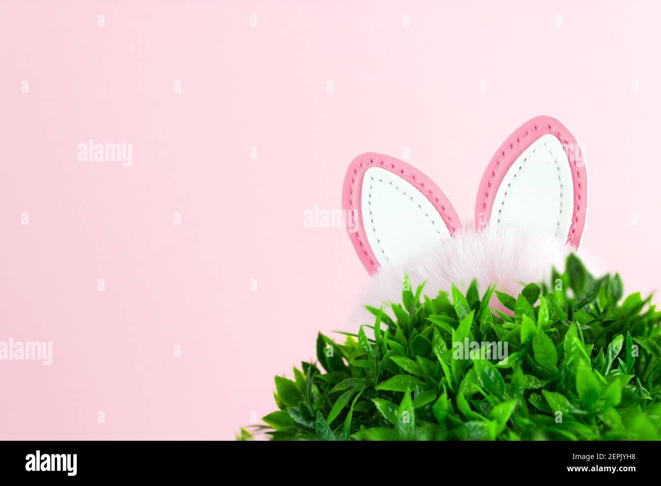 Easter Photo with grass, rabbit ears on pink background. Springtime garden or meadow Stock Photo