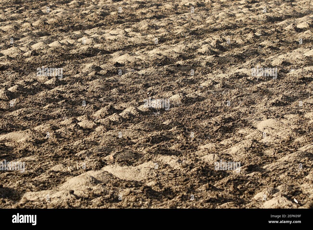 The fields clods, when snow has gone and spring is coming in the arable land Stock Photo