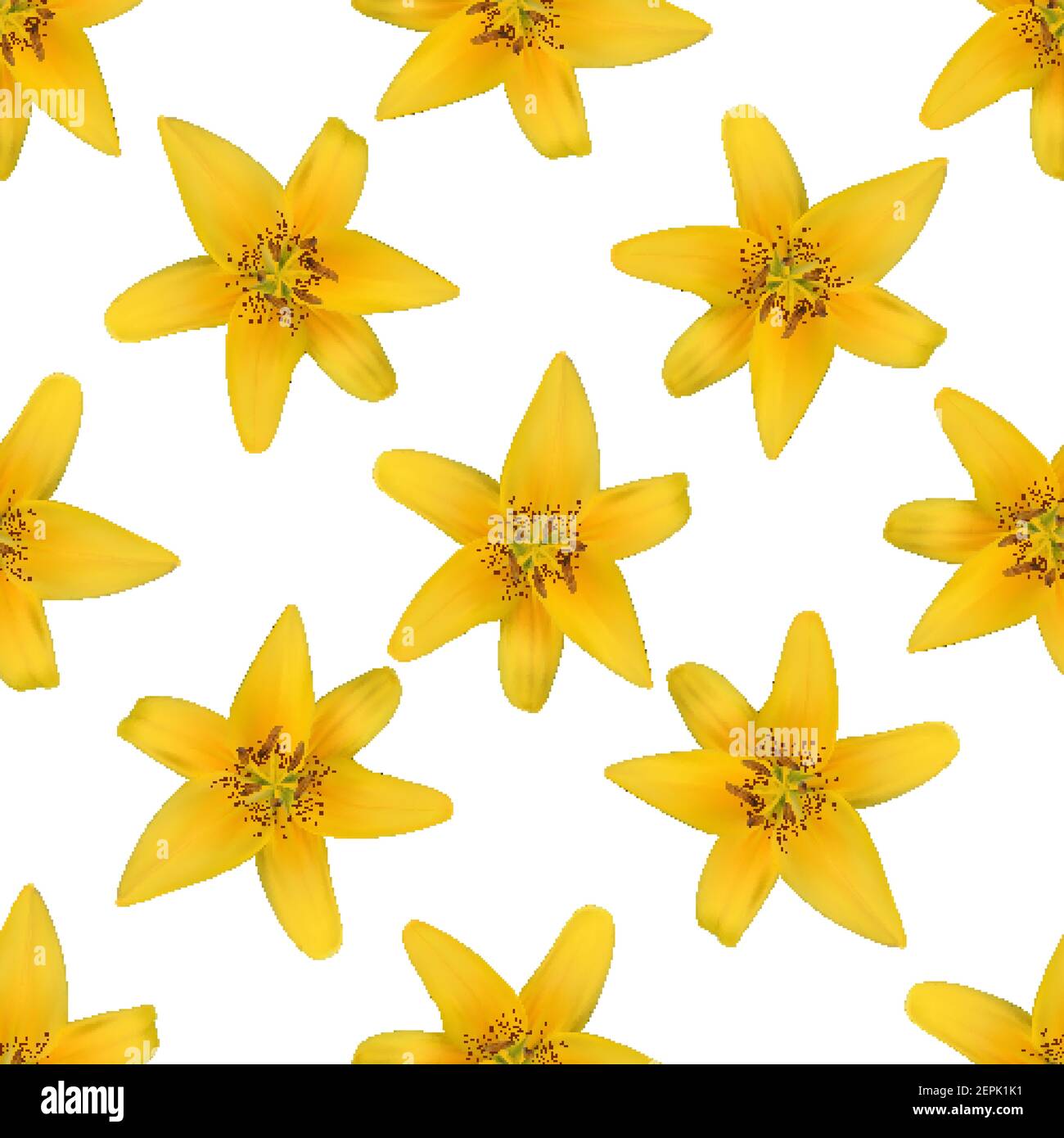 Yellow naturalistic lily flower on white. Pattern background. Vector ...