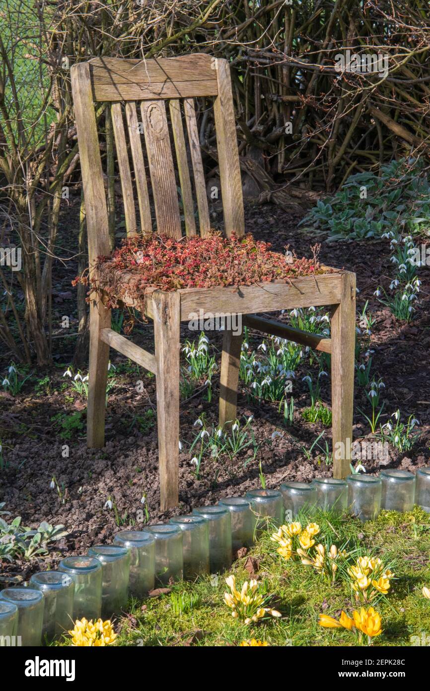 Old wooden chair is in the garden in the flowerbed as a decoration and has plants. Stock Photo