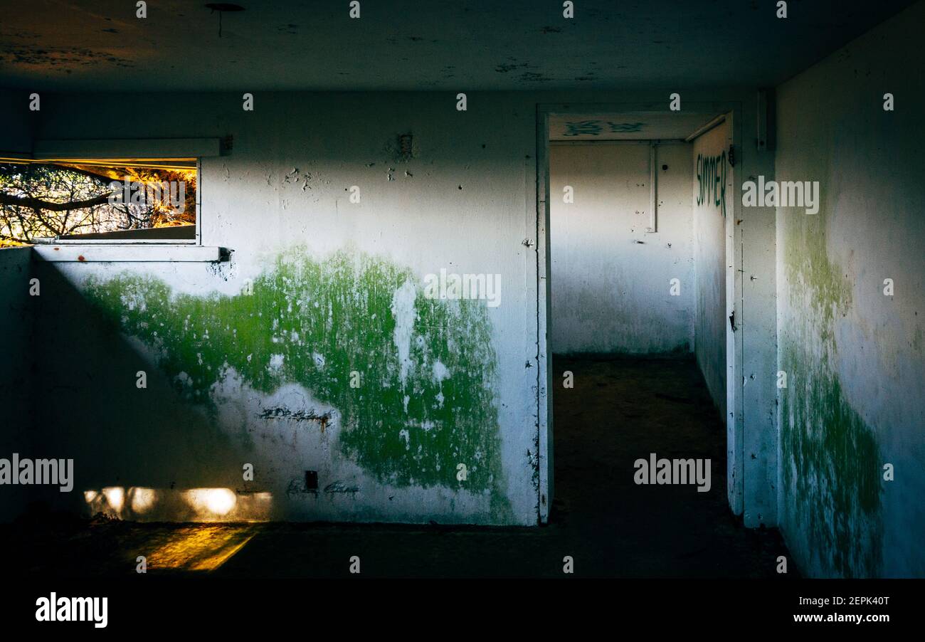 Cape Disappointment, Washington Stock Photo Alamy