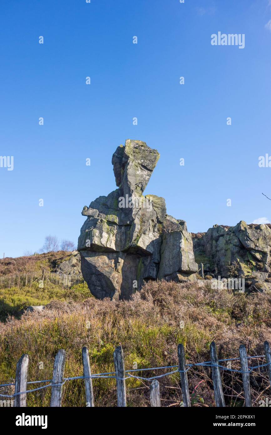 The Old Man of Mow is a gritstone pillar that can be found beside the path of the Gritstone Trail in the village of Mow Cop Cheshire England Stock Photo