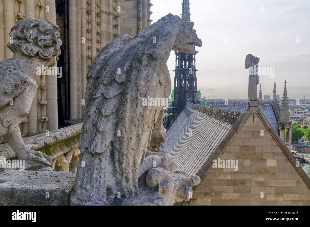 The view the roof of Notre Dame de Paris from the tower with the gargoyles and the spire that was recently destroyed Stock Photo