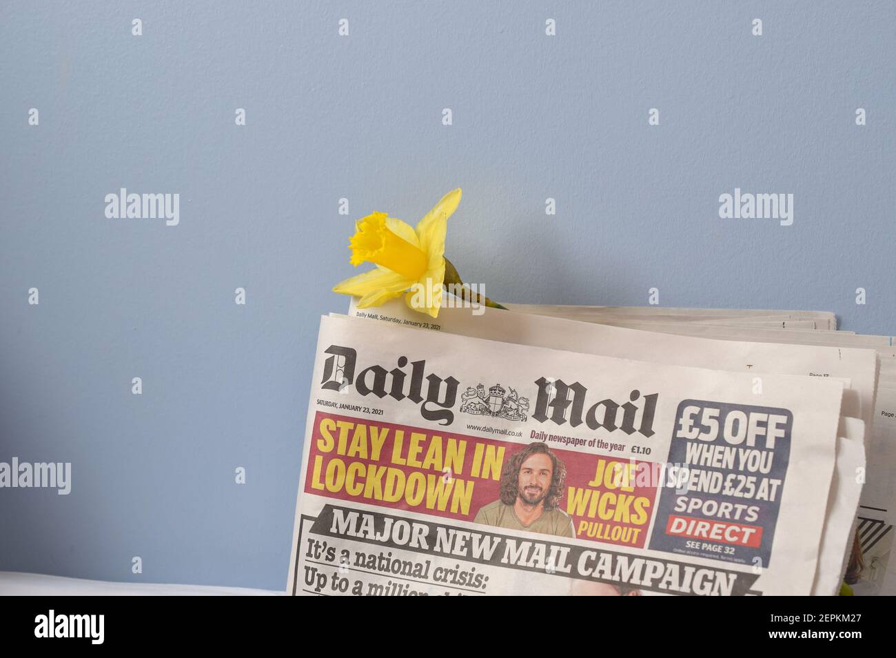 English Newspaper Daily Mail With Daffodil On Light Background Stock Photo Alamy