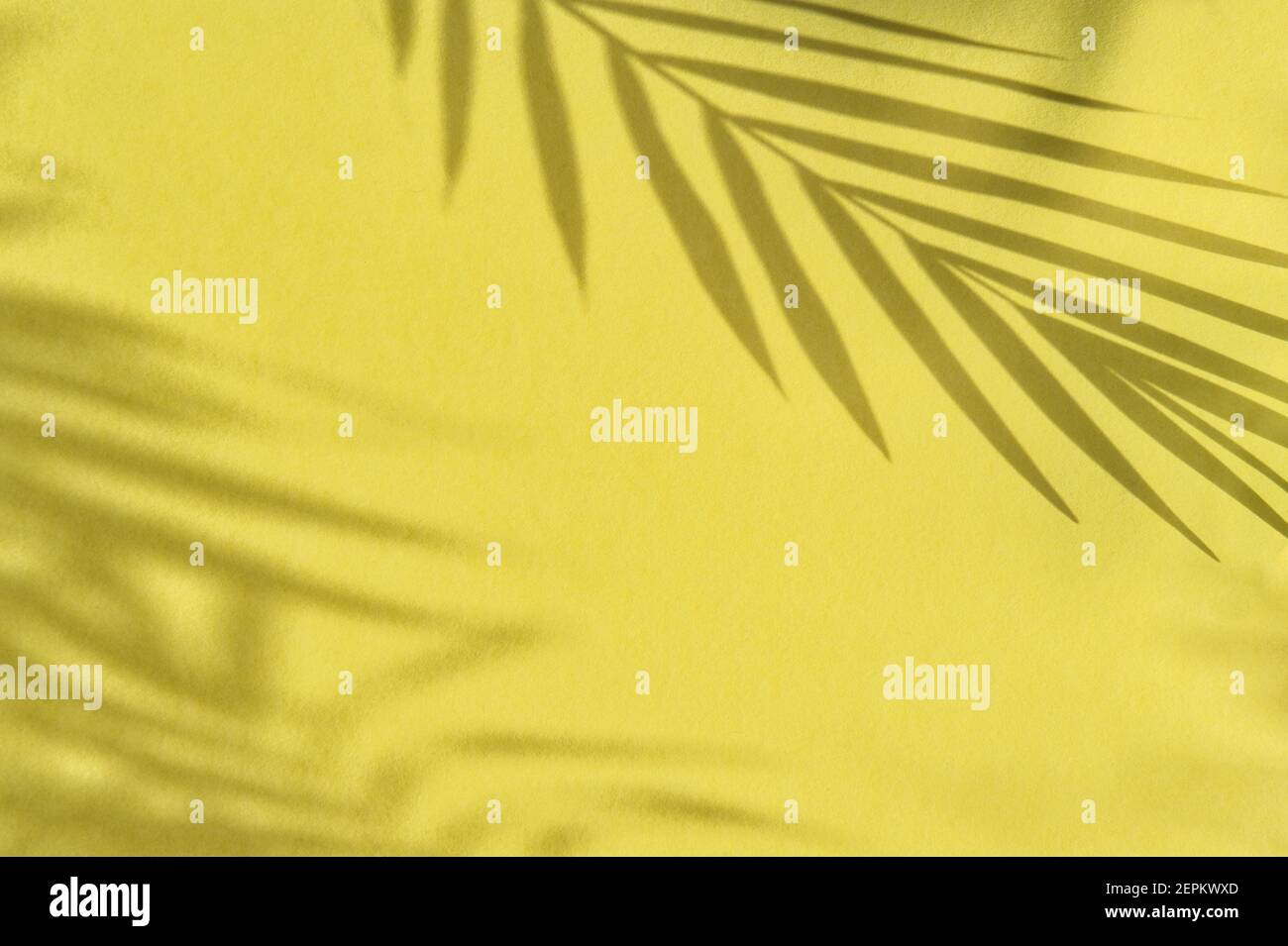 Palm leaves shadow on yellow background. Floral summer template Stock Photo