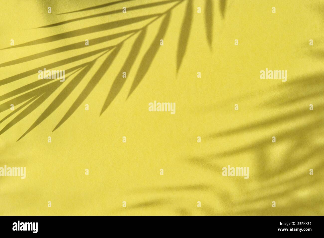 Floral summer template. Palm leaves shadow on yellow background Stock Photo