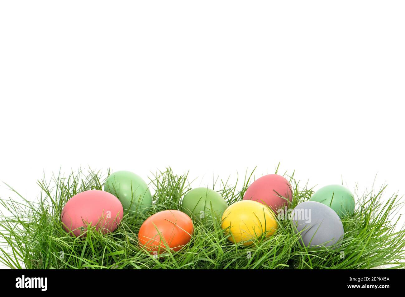 Colorful easter eggs in green grass over white background Stock Photo