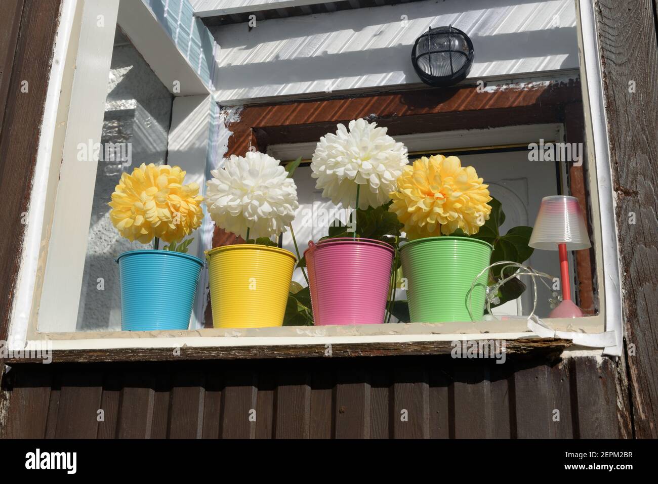 A row of coloured flower pots brighten up a porch window in Scotland, UK. Stock Photo