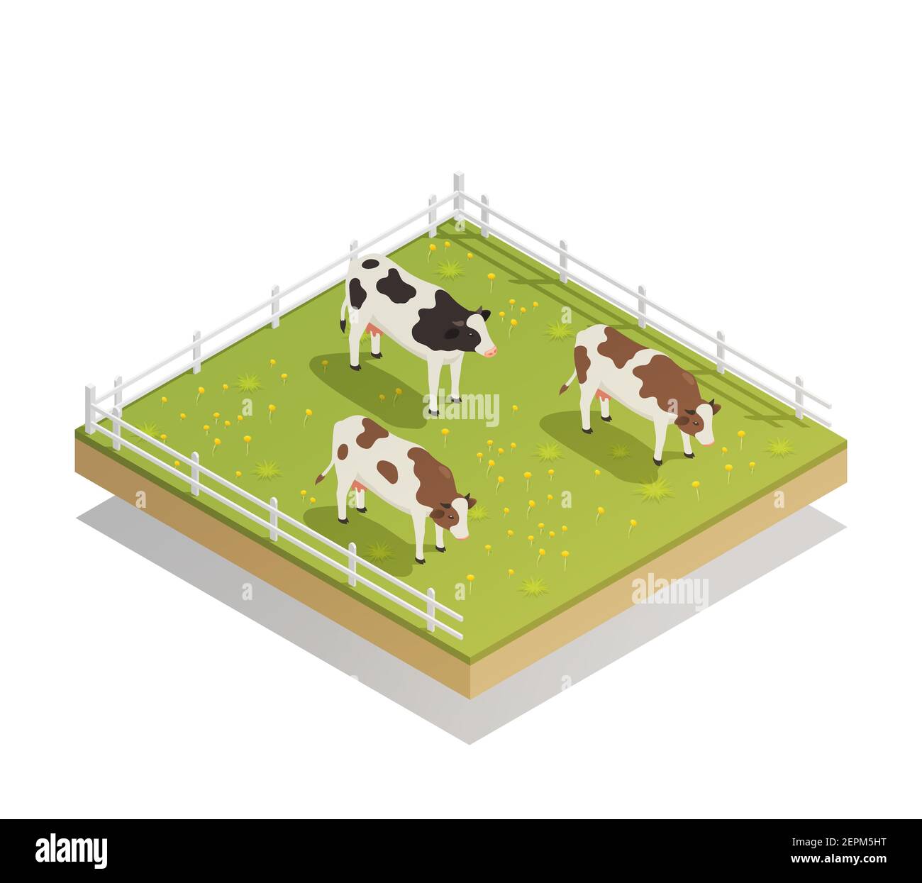 Dairy production milk factory isometric composition with images of cows