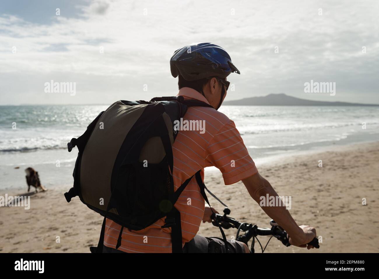 A cyclist riding along Milford beach with Rangitoto Island in the background and a dog playing on the beach Stock Photo
