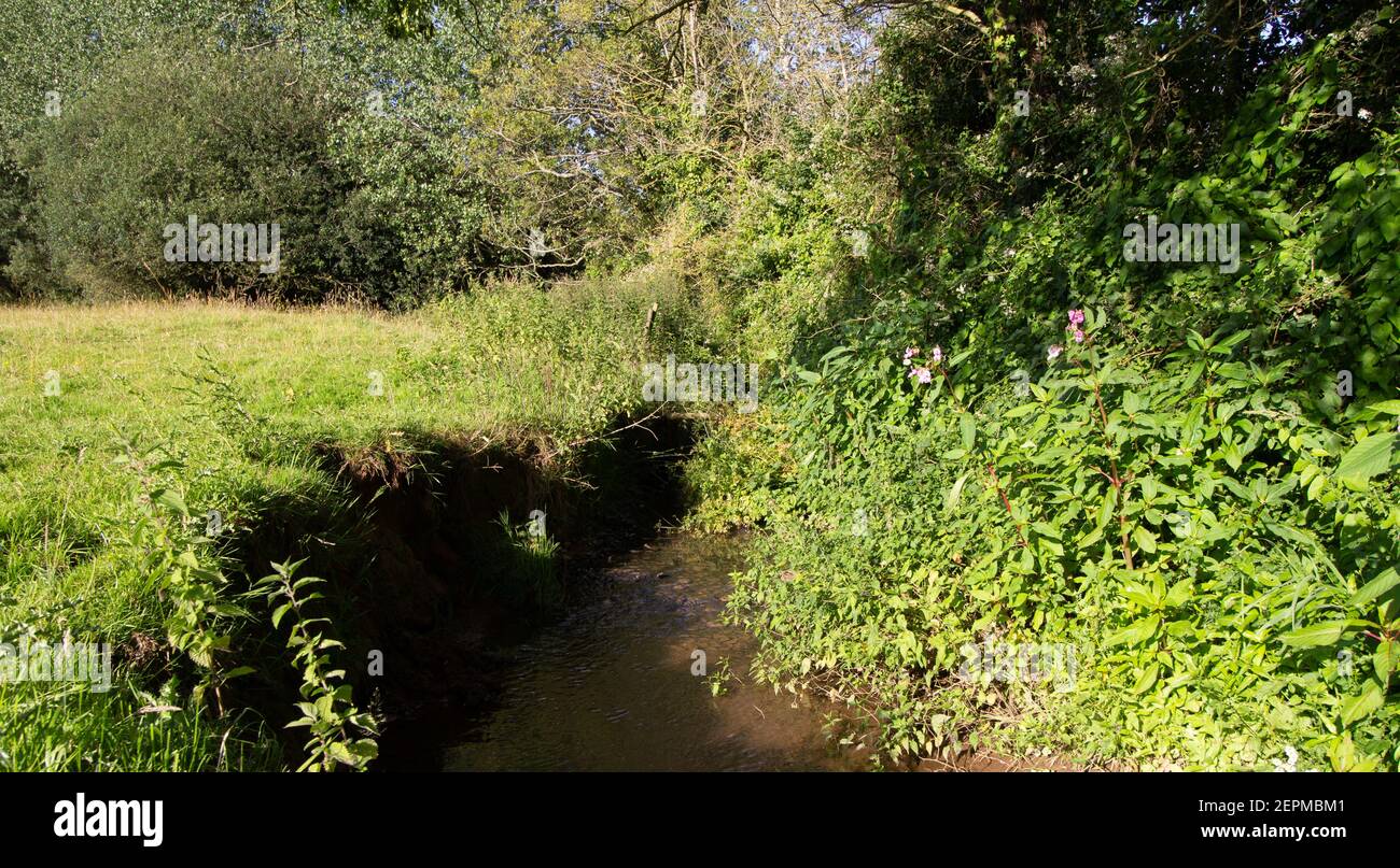 Brown stream hi-res stock photography and images - Alamy