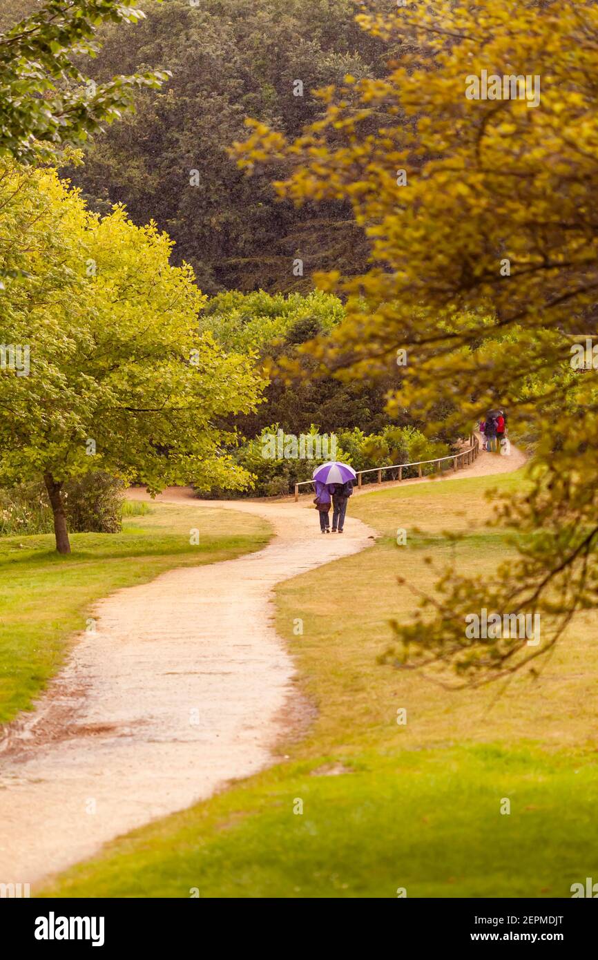 A rainy day in a nature park where a couple sharing an umbrella is walking on a dirt path under the rain. The trail goes among trees and scenic grassl Stock Photo