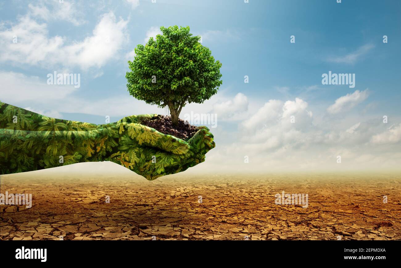 Green hands holding tree growing on cracked earth. Saving environment and natural conservation concept. Stock Photo