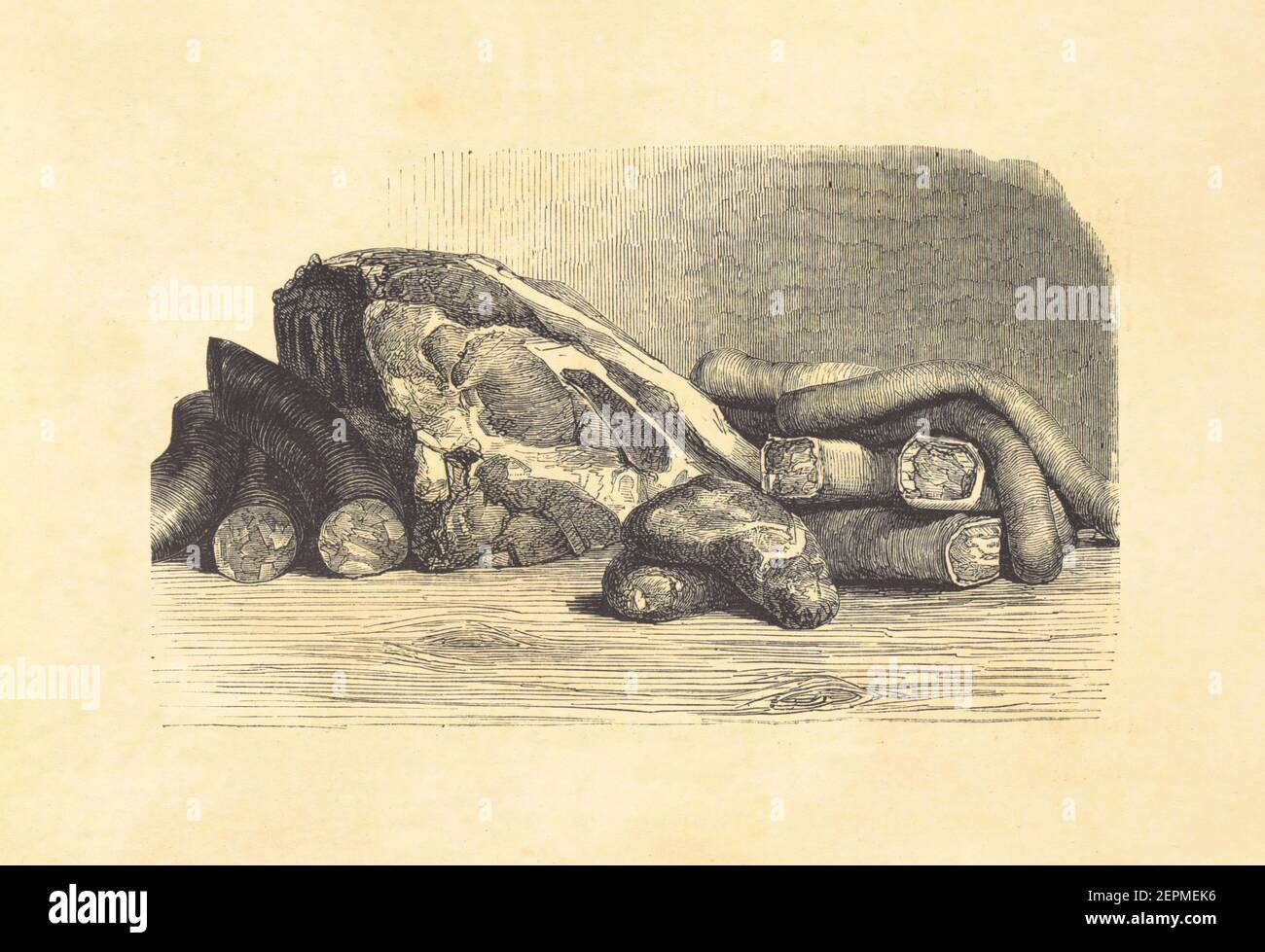 Antique illustration of roasted pork meat and sausages. Published in Le livre de cuisine, par Jules Goufe, Librarie Hachette et Cie (Paris, 1874). Stock Photo