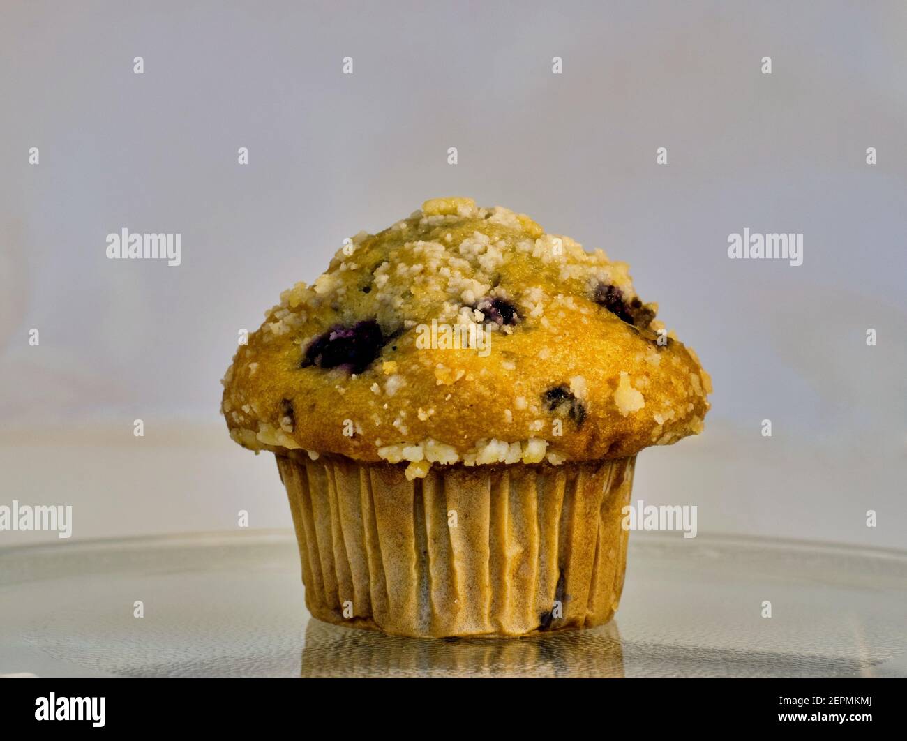 Single Blueberry muffin centered and isolated on a microwave oven carousel, close up at eye level. Stock Photo