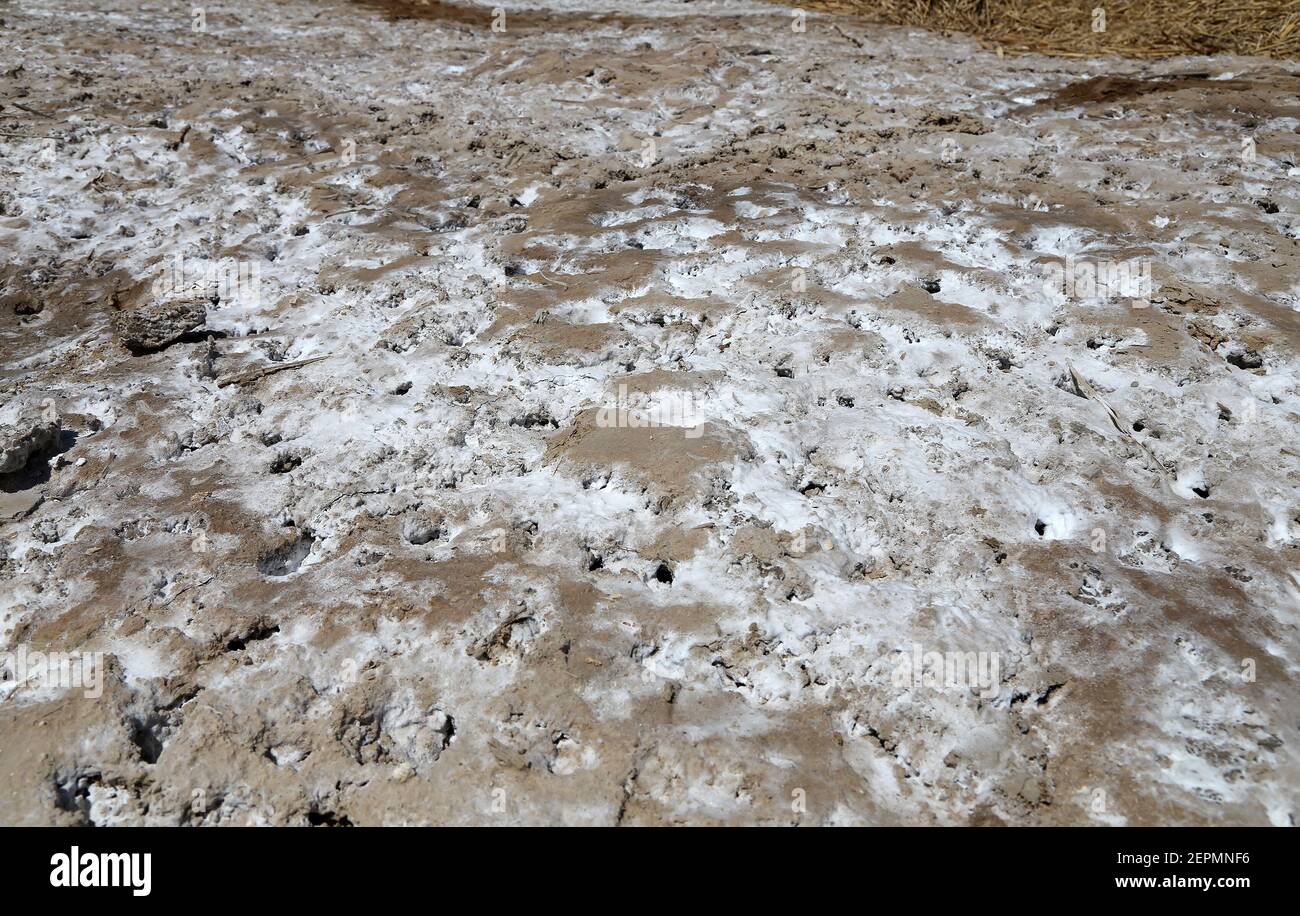 Salt Crystallisation Rocks Rock crystallisation hi-res stock photography and images - Alamy